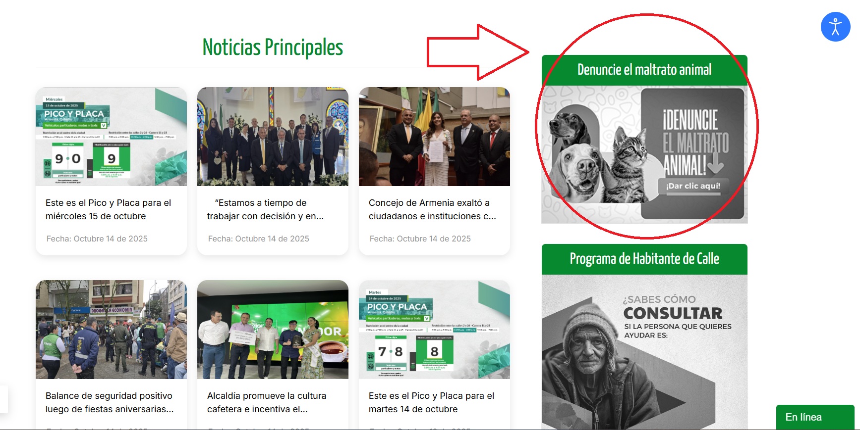 RutaDeAtencion