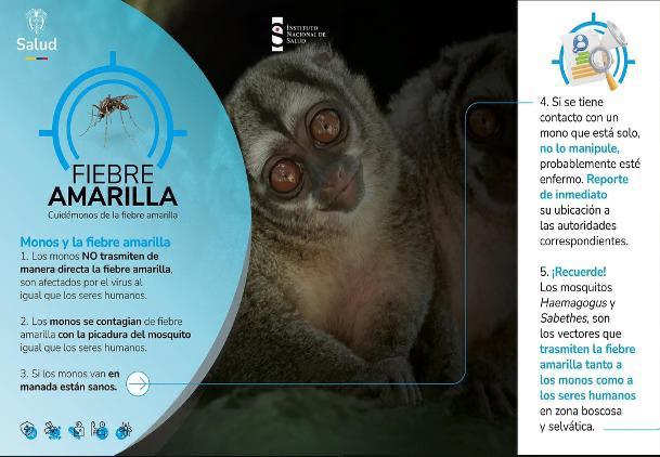 Fiebre Amarilla